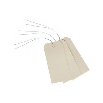 AVERY Etiquettes américaines, 120 x 60 mm, avec fil de fer