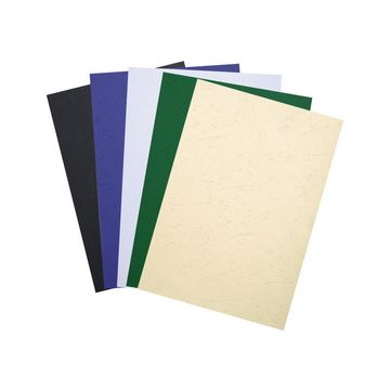 EXACOMPTA Couverture de reliure FOREVER, A4, vert