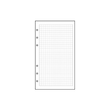 EXACOMPTA Recharge pour Exatime 17, feuillet quadrillé 5 x 5