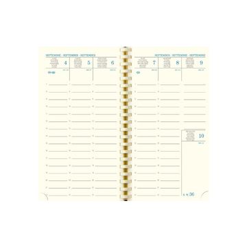 EXACOMPTA Recharge pour agenda SAD 16S, 2025/2026, 16 mois