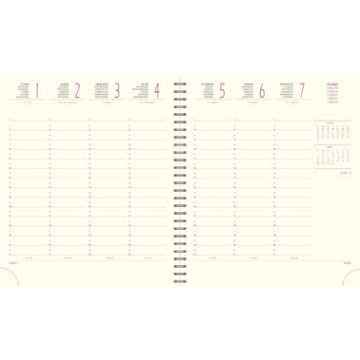 EXACOMPTA Recharge pour agenda SAD 18S, 2025/2026, 16 mois