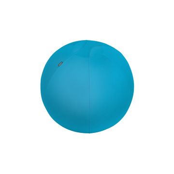 LEITZ Ballon d'assise Ergo Cosy, diamètre: 650 mm, bleu