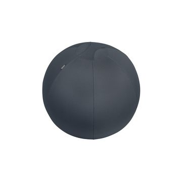LEITZ Ballon d'assise Ergo Cosy, diamètre: 650 mm, gris