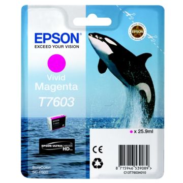C13T76034010 / T7603 Epson - magenta - cartouche de marque