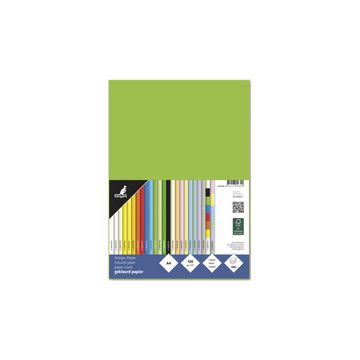kangaro Multifunktionspapier, DIN A4, 120 g/qm, hellgrün