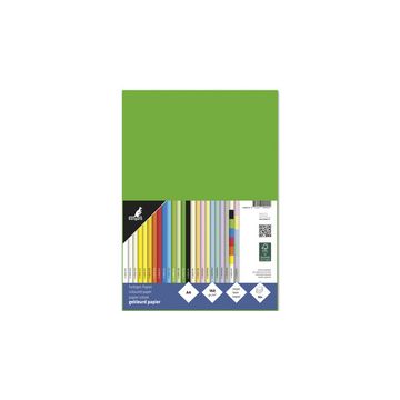 kangaro Papier multifonction, A4, 160 g/m2, vert
