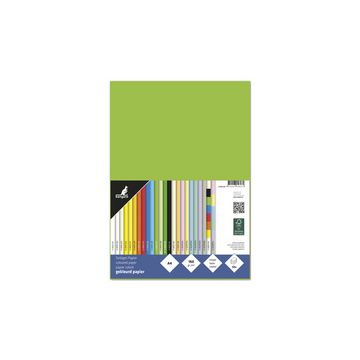 kangaro Papier multifonction, A4, 160 g/m2, vert clair