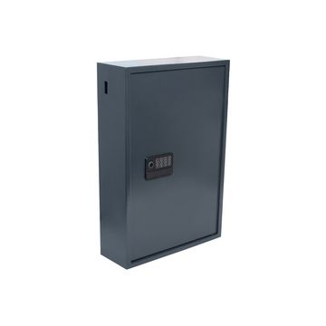 pavo Coffre à clés Advanced, pour 300 clés, gris foncé